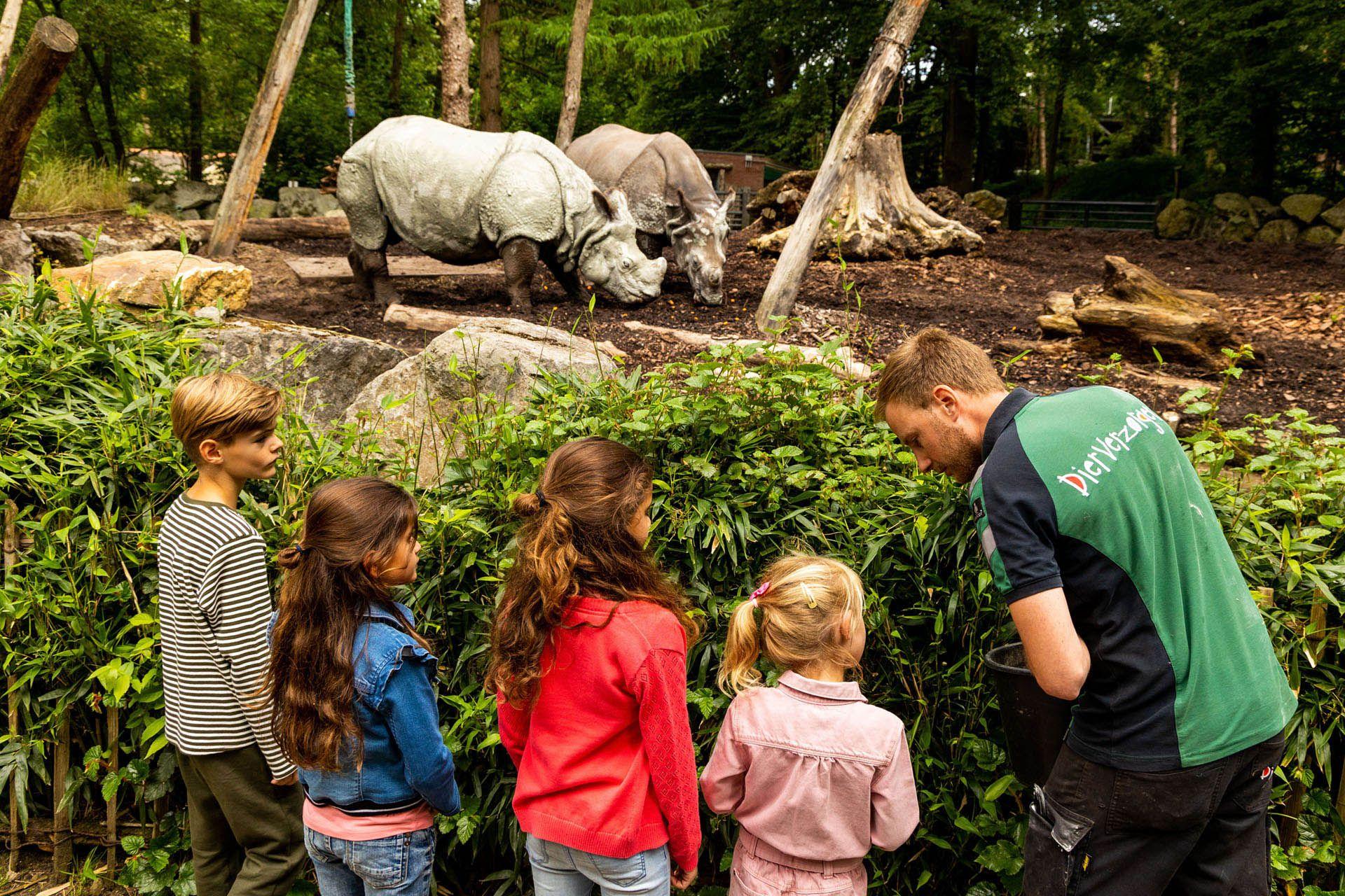 Vier kinderen met medewerker van de dierentuin aan het kijken naar de neushoorns