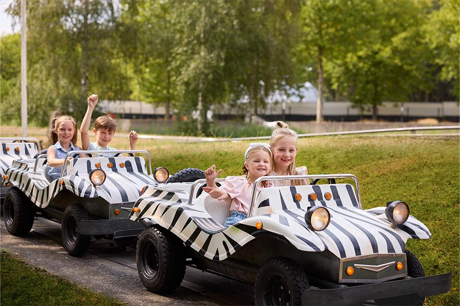 Kinderen in safari autootjes met zebraprint
