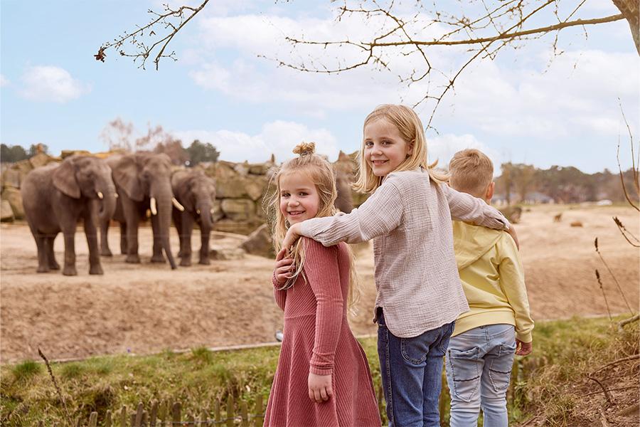 Drie kinderen aan het kijken naar de olifanten in de dierentuin