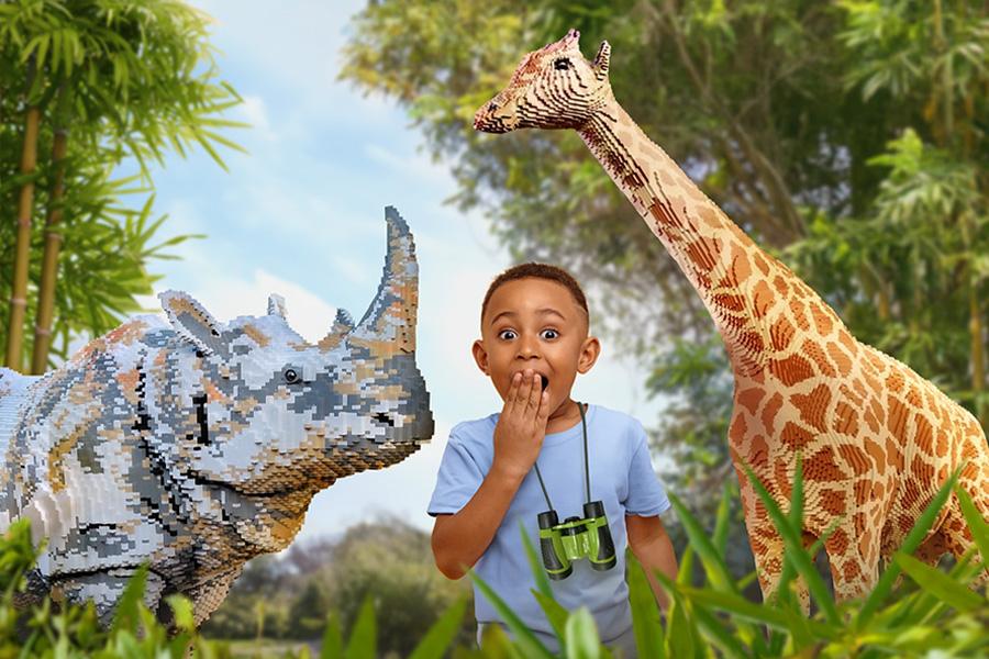 Jongetje met verrekijker tussen een neushoorn en giraffe gemaakt van bouwstenen
