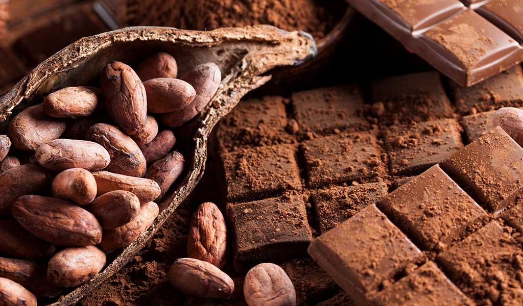 Cacaomuseum mét rondleiding en proeverij