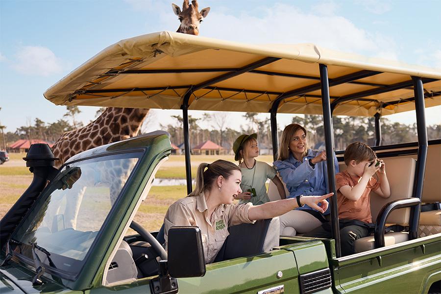 Safaribusje met giraffe er achter