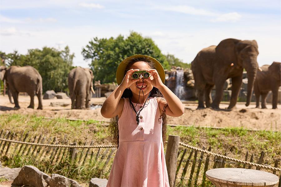 Meisje met roze jurk, safarihoed en verrekijker die in de camera kijkt met olifanten in de dierentuin op de achtergrond