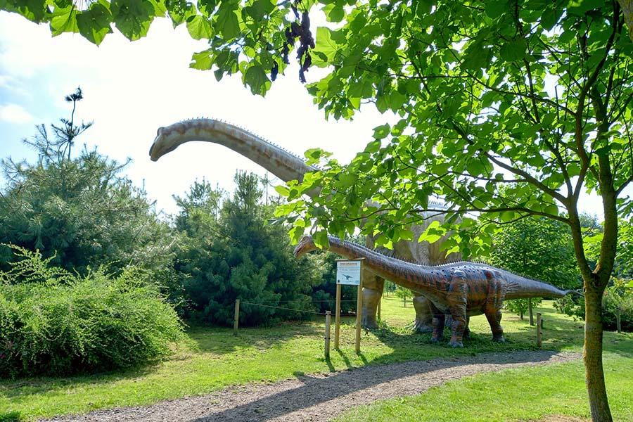 Dinopark Landgoed Tenaxx in Groningen