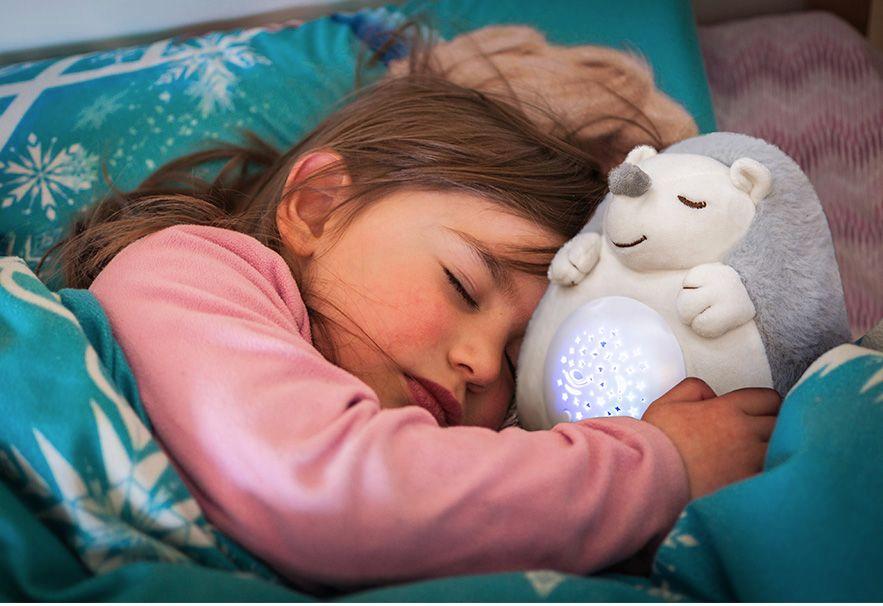 Een meisje slaapt met een knuffel in de vorm van een egel ernaast