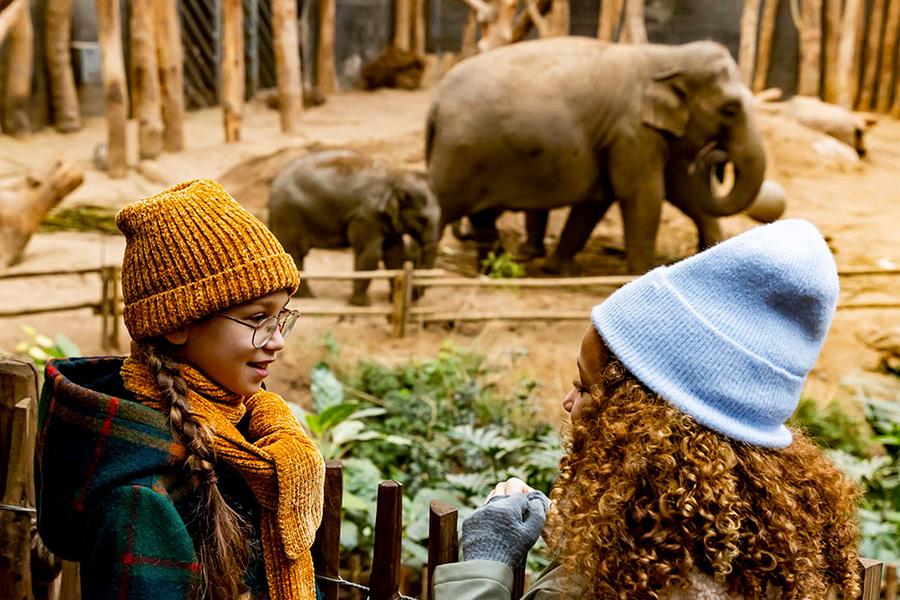 Twee meisjes met mutsen met olifanten op de achtergrond